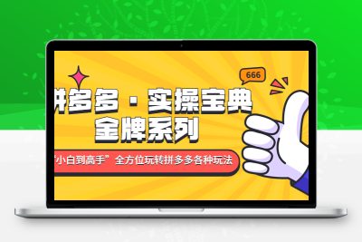 拼多多·实操宝典：金牌系列“小白到高手”带你全方位玩转拼多多各种玩法