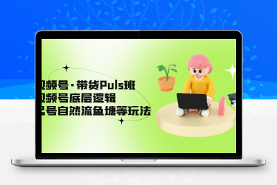 视频号·带货Puls班，视频号底层逻辑，起号自然流鱼塘等玩法