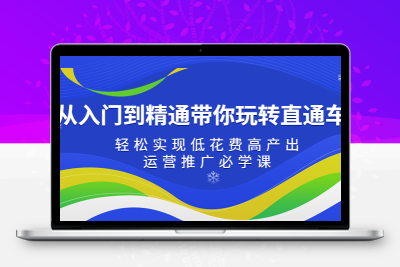 从入门到精通带你玩转直通车：轻松实现低花费高产出，35节运营推广必学课