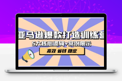 亚马逊爆款打造训练营：5大核心逻辑+案例展示 打造爆款链接 高效 省钱 稳定