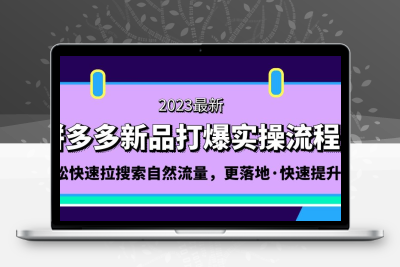 拼多多-新品打爆实操流程：轻松快速拉搜索自然流量，更落地·快速提升!