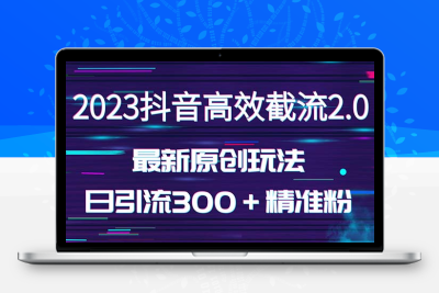 日引300＋创业粉，独家抖音高效截流2.0玩法（价值1280）
