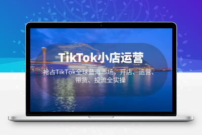 TikTok小店运营 抢占TikTok全球蓝海市场，开店、运营、带货、投流全实操
