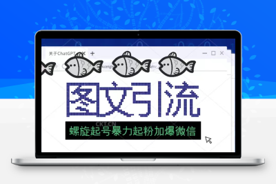 23年价值1980的图文引流创业粉螺旋起好技术暴力起粉加爆微信