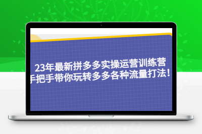23年最新拼多多实操运营训练营，手把手带您玩转各种流量打法！