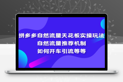 拼多多自然流量天花板实操玩法：自然流量推荐机制，如何开车引流等等