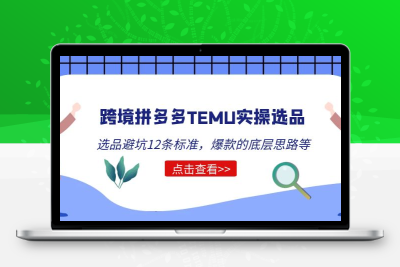 跨境拼多多TEMU实操选品运营方法，选品避坑12条标准，爆款的底层思路等