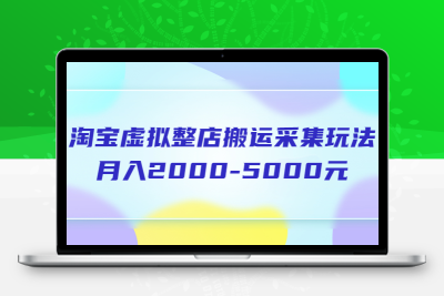 淘宝虚拟整店搬运采集玩法分享课：月入2000-5000元（5节课）