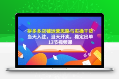 拼多多店铺运营思路与实操干货，当天入驻，当天开卖，稳定出单（13节课）