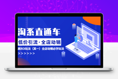 淘系直通车《低价·引流 全店·动销》超高ROI玩法（其一）全店动销必学玩法