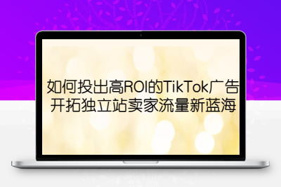 如何投出高ROI·TikTok广告，开拓独立站卖家流量新蓝海