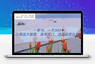 一单15，一天300+，小商品大智慧，高考风口，选品该怎么布局