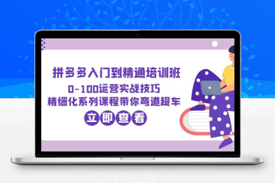 2023拼多多入门到精通培训班：0-100运营实战技巧 精细化系列课带你弯道超车