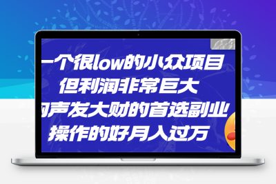 一个很low的小众项目，但利润非常巨大，闷声发大财的首选副业，月入过万