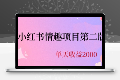 最近爆火小红书情趣项目第二版，每天2000+