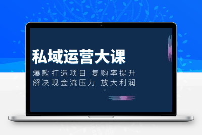 私域运营大课：爆款打造项目 复购率提升 解决现金流压力 放大利润