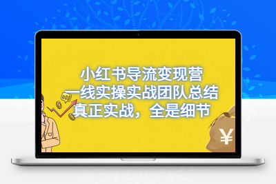 小红书导流变现营，一线实战团队总结，真正实战，全是细节，全平台适用