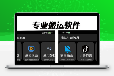 对外收费699抖音傻瓜式一键搬运，起号专用5分钟一个视频《软件+详细教程》