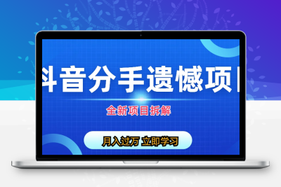 自媒体抖音分手遗憾项目私域项目拆解