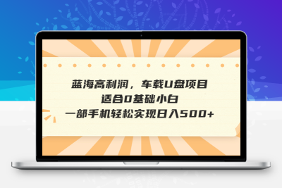 蓝海高利润，车载U盘项目，适合0基础小白，一部手机轻松实现日入500+