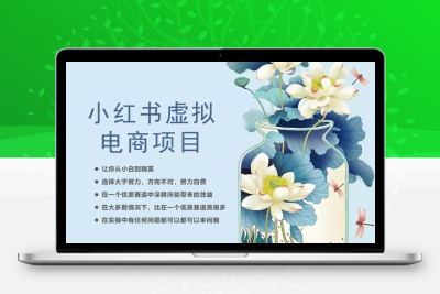 小红书虚拟电商从0到1，让你从小白到精英（20节实操课程）