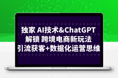 独家 AI技术&ChatGPT解锁 跨境电商新玩法，引流获客+数据化运营思维