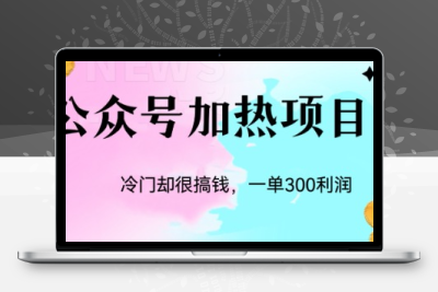 冷门公众号加热项目，一单利润300+