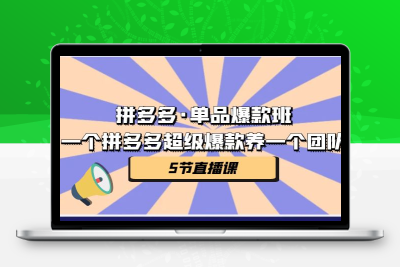 拼多多·单品爆款班，一个拼多多超级爆款养一个团队（5节直播课）