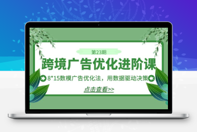 跨境广告·优化进阶课·第23期，8*15数模广告优化法，用数据驱动决策