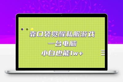 靠口袋觉醒私服游戏，一台电脑，小白也能1w+（教程+工具+资料）